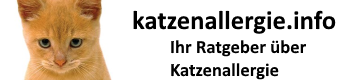 Haartransplantation Türkei